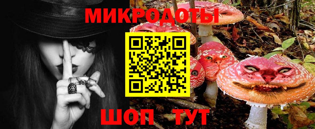 Минусинск  Псилоцибиновые грибы мухоморы  Вход с VPN 